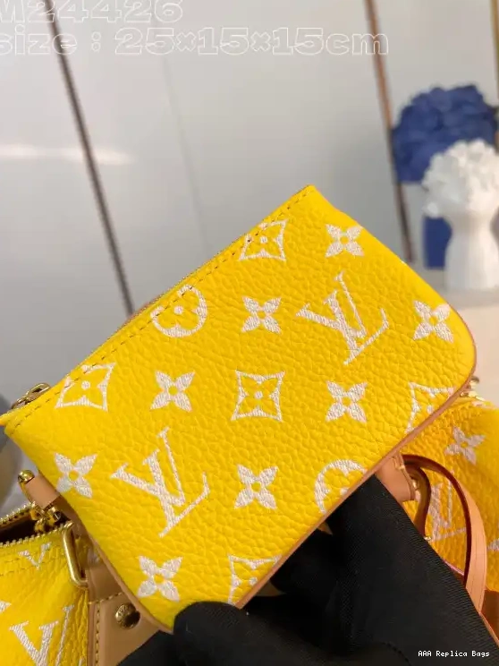 Aaa replica bags 25 Louis SPEEDY Vuitton 0529